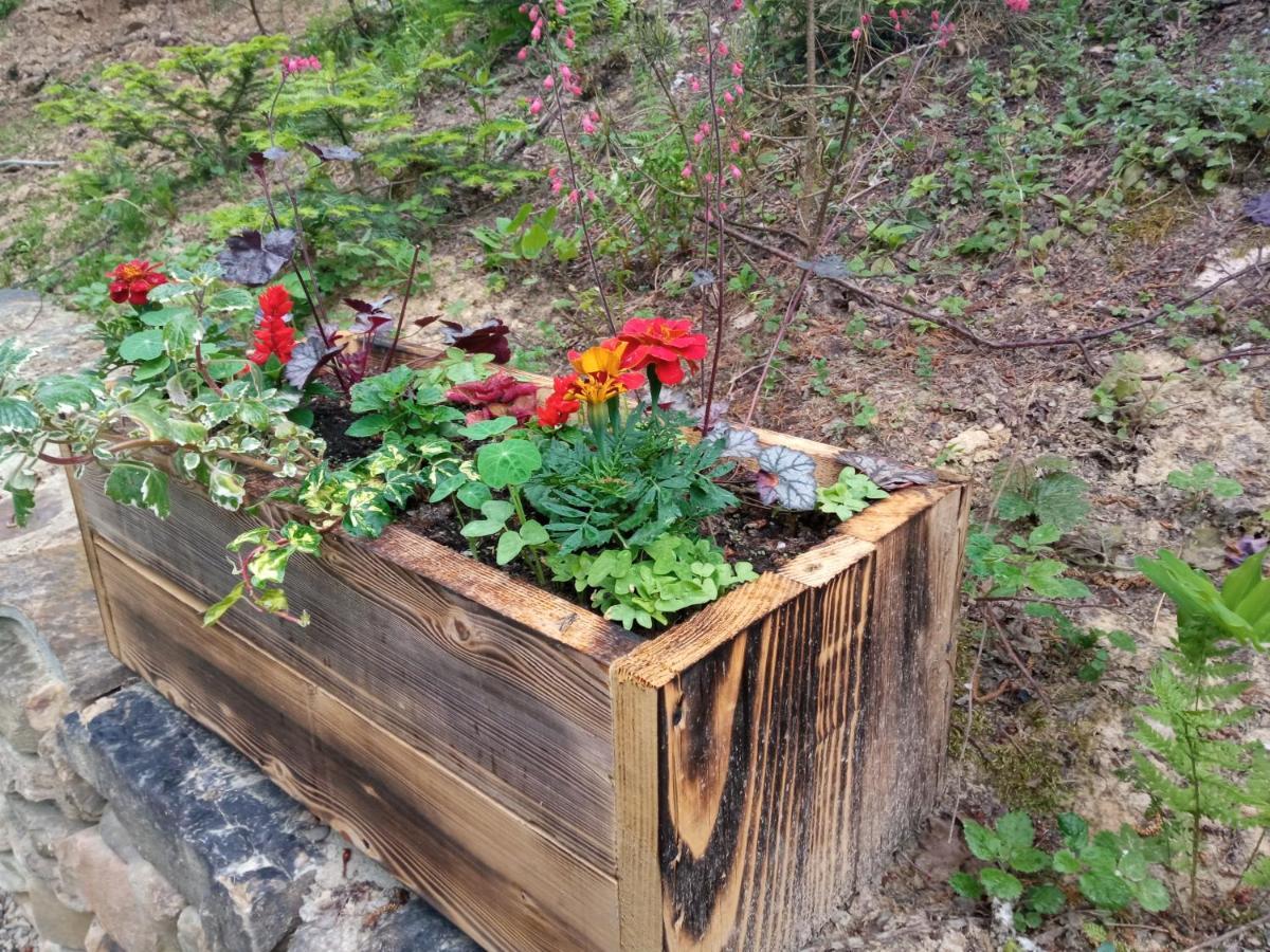 Osada Sroczy Jar Vila Rozpucie Exterior foto